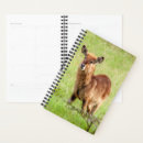 Recherche de photographie agendas Images