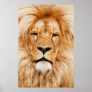 Recherche de tête posters Faune