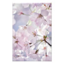 Recherche de fleur japonaise posters Fleurs