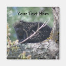 Recherche de animal sauvage magnets Arbre