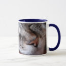 Recherche de becher tasses Chat