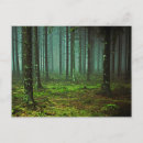 Recherche de forêt enchantée cartes postales Arbre