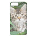 Recherche de maine coon iphone coques Tabby