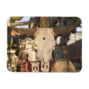 Recherche de de crâne magnets Vache
