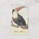 Recherche de toucan cartes visite Oiseaux