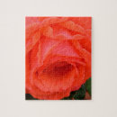 Recherche de pétales roses puzzles Floral