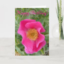 Recherche de rosier vœux cartes Roses sauvages