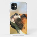 Recherche de chien de boxeur coques Chiot