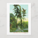 Recherche de allee cartes postales Bois