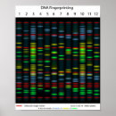 Recherche de adn posters Laboratoire