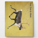 Recherche de renne plaques Pour tous