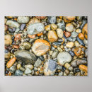 Recherche de galetteuse posters Photographie de la nature
