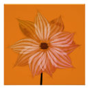 Recherche de brights posters Brillant