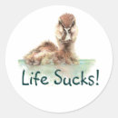 Zoek naar grappige eenden stickers Vogel