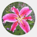 Recherche de astronome autocollants Rose