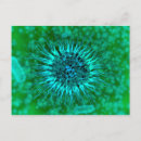 Recherche de molécules cartes postales Chimique