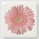 Recherche de gerber rose maison deco Floral