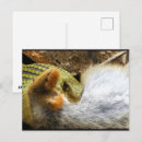 Zoek naar slangen briefkaarten Wild
