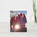 Recherche de merchbooth vœux cartes Rouge