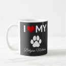 Recherche de malinois tasses Belge