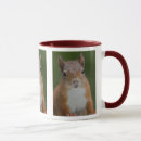 Recherche de écureuil rouge tasses Animaux