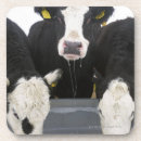 Zoek naar koeien onderzetters Landbouw