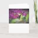Recherche de abeille miel vœux cartes Été