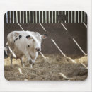Recherche de vache laitière tapis souris Agriculture