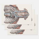 Recherche de anatomie vintage papier cadeau Médical