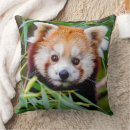Recherche de panda enfant coussins Zoo