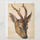 Recherche de albrecht durer cartes postales Faune