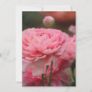 Recherche de renoncule vœux cartes Floral