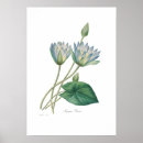 Recherche de waterlily posters Flowers