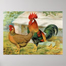 Recherche de vintage rooster posters Country