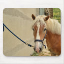 Recherche de mousepads cheval tapis souris Pour enfants