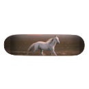 Zoek naar paard skateboards Grappig