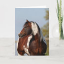 Zoek naar bob kaarten Stallion