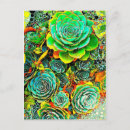 Recherche de succulents cartes postales Pour tous