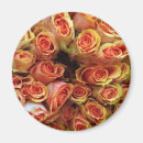 Recherche de color refrigérateur magnets Rose