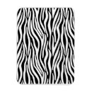 Recherche de rayures de zèbre magnets Jungle