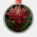 Recherche de rouge de fleur ornements Pour tous