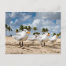 Recherche de four cartes postales Faune
