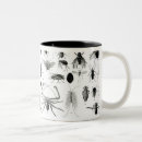 Recherche de entomologie tasses Anglais