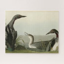 Zoek naar audubon puzzels Illustratie