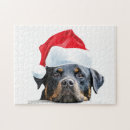 Recherche de rottweiler puzzles Chien