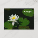 Recherche de fleur de lotus blanc cartes visite Fleurs