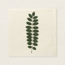 Recherche de acacia Feuille