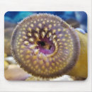 Recherche de boucherie tapis souris Faune