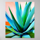 Recherche de agave posters Botanique