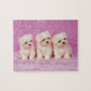 Recherche de race de chien puzzles Mignon
